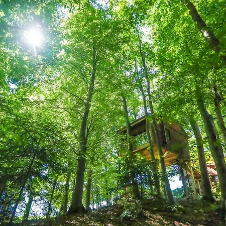 Treehouse Na Skaluc Luxury tent *