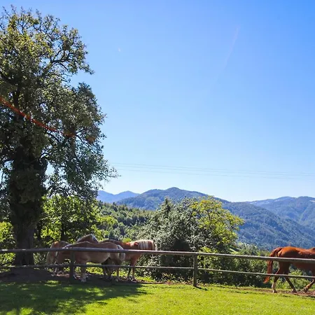 Treehouse Na Skaluc Lasko