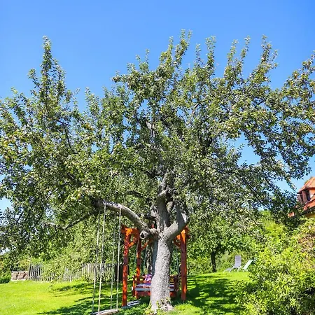 Treehouse Na Skaluc *